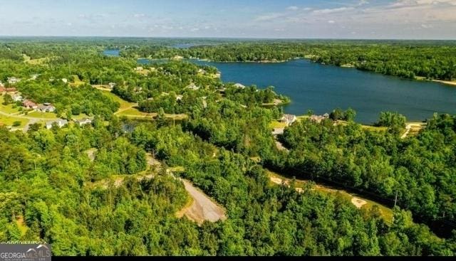 2278 Lake Helen Ct, Lizella GA, 31052 land for sale