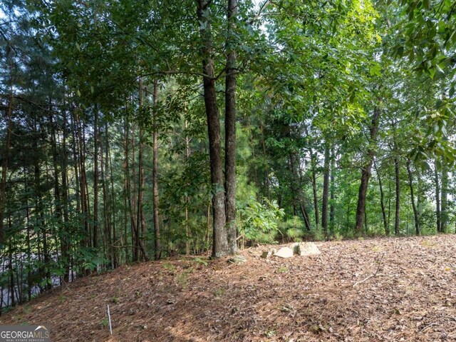 1577 Dallas Ct, Ranger GA, 30734 land for sale