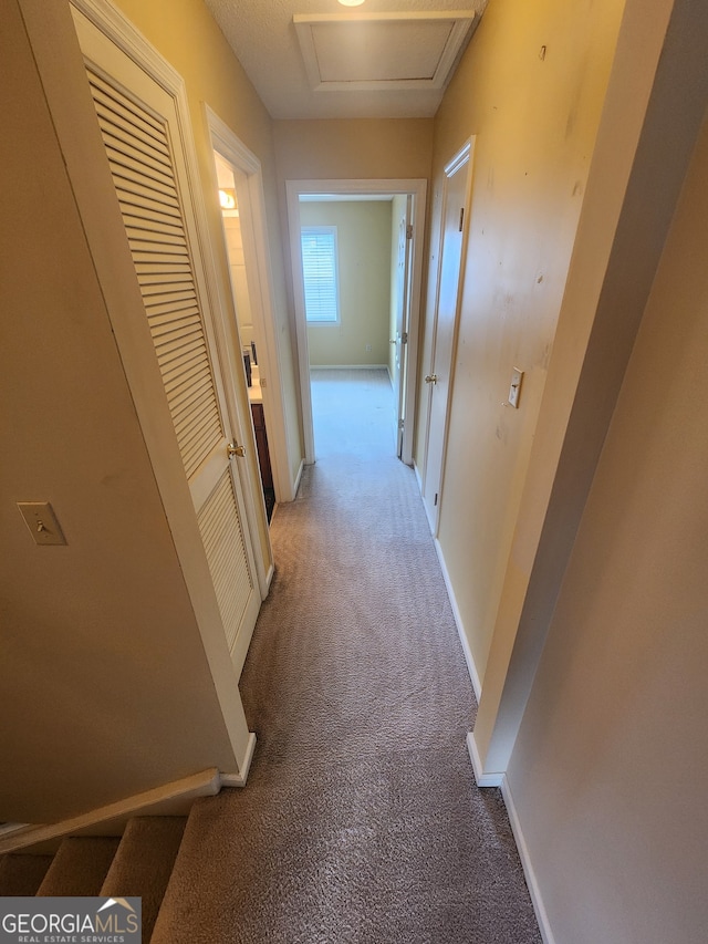 hallway with carpet flooring