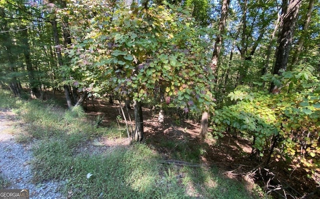 L811 Myna Dr, Ellijay GA, 30540 land for sale