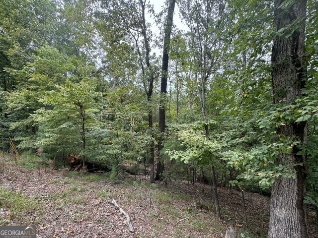 L811 Myna Dr, Ellijay, GA 30540