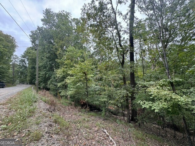L811 Myna Dr, Ellijay, GA 30540