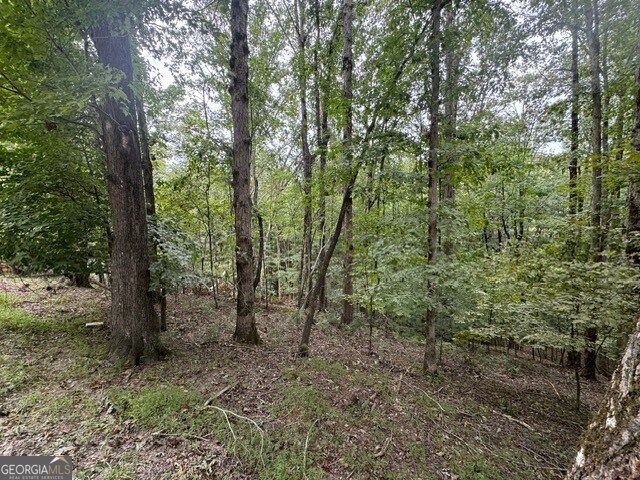 L811 Myna Dr, Ellijay, GA 30540
