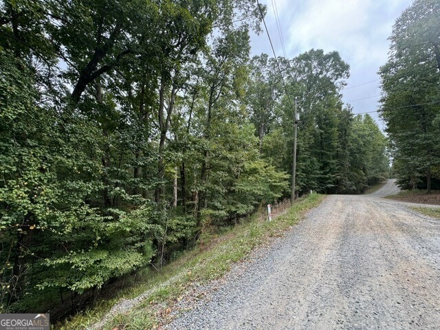L811 Myna Dr, Ellijay, GA 30540