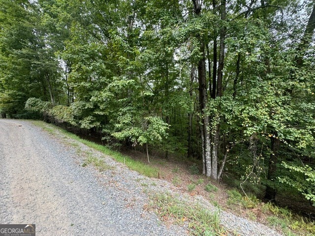 L811 Myna Dr, Ellijay, GA 30540