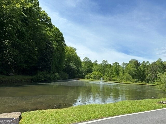 L811 Myna Dr, Ellijay, GA 30540