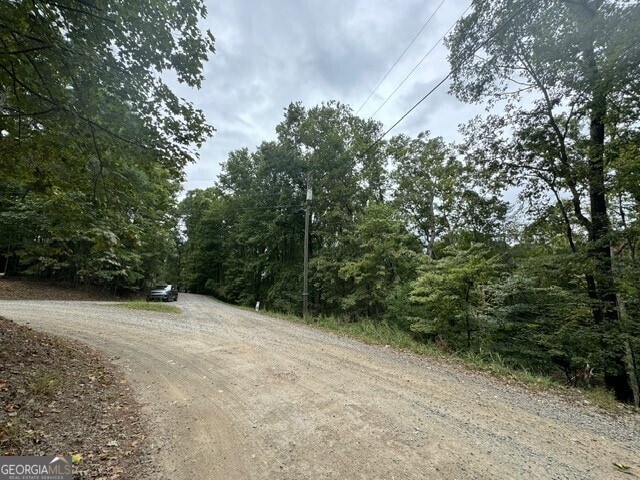 L811 Myna Dr, Ellijay, GA 30540