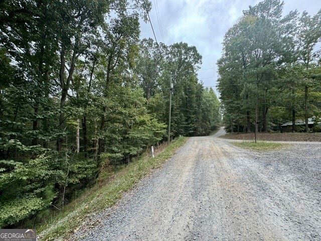 L811 Myna Dr, Ellijay, GA 30540