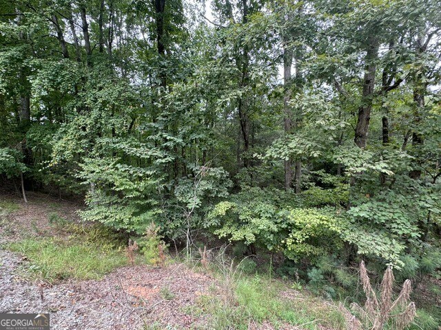L811 Myna Dr, Ellijay, GA 30540