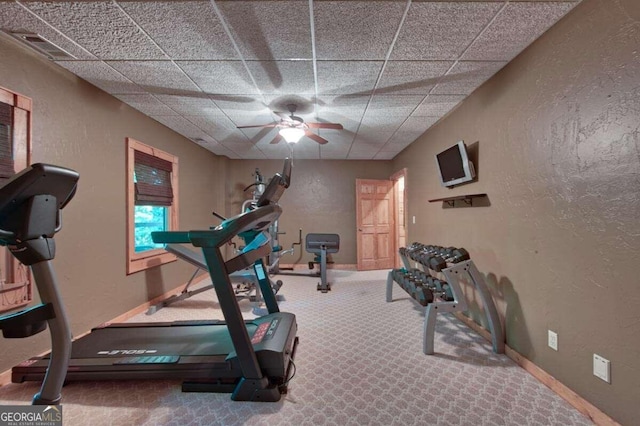 exercise area with carpet, a paneled ceiling, and ceiling fan