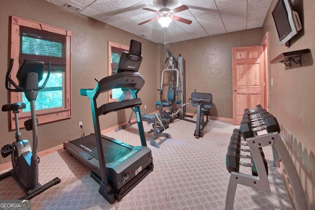 exercise area featuring carpet flooring, a drop ceiling, and ceiling fan