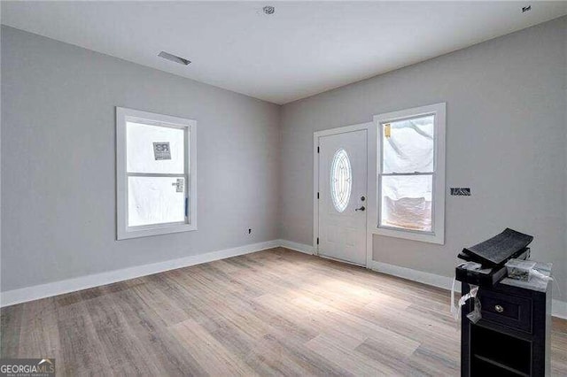 foyer featuring light wood-type flooring and a wealth of natural light