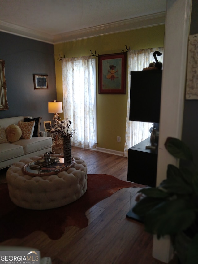 living room with wood-type flooring, ornamental molding, and baseboards