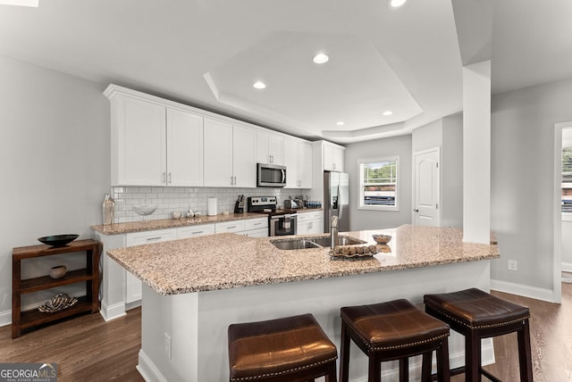 kitchen with white cabinets, dark wood-type flooring, stainless steel appliances, and a raised ceiling