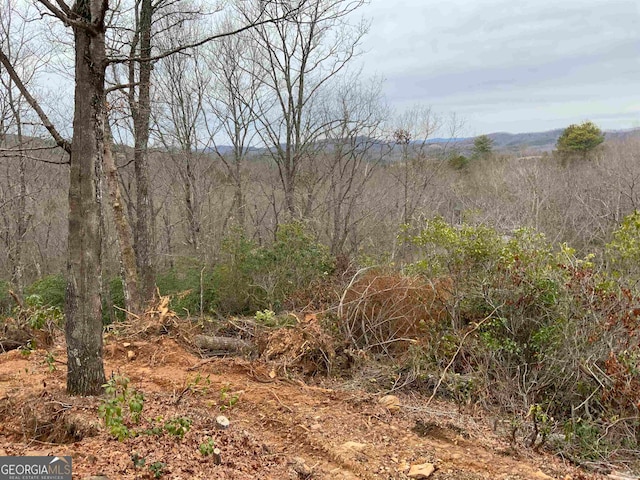 view of local wilderness