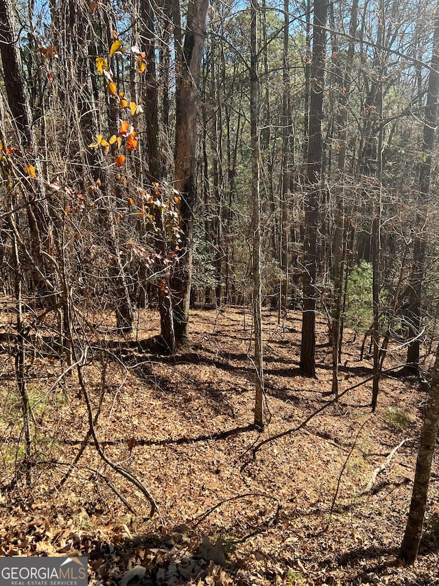 0 Carlisle Dr Lot 2902, Ellijay GA, 30540 land for sale