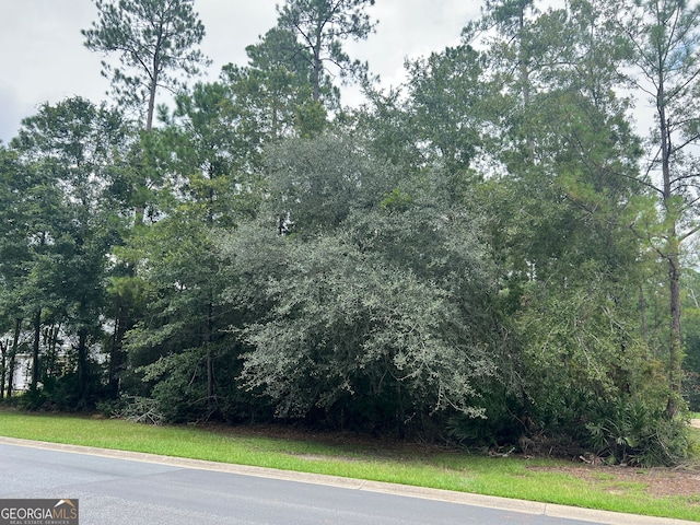 LOT4 Sunset Dr, Woodbine GA, 31569 land for sale