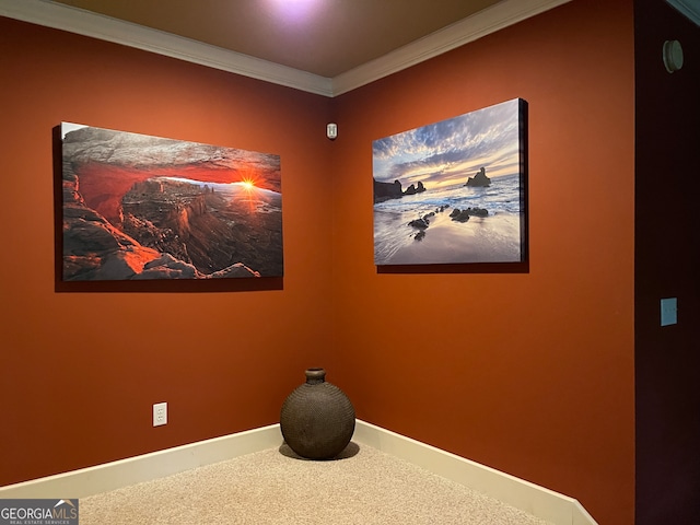 interior space featuring carpet and crown molding