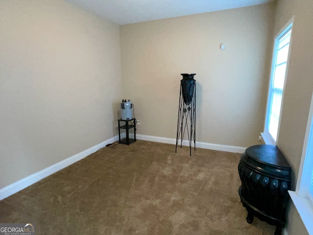 misc room with carpet floors