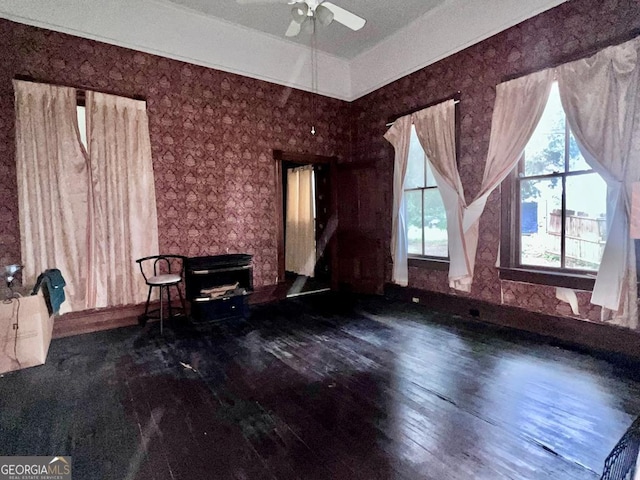 interior space with ceiling fan, hardwood / wood-style floors, and a wood stove