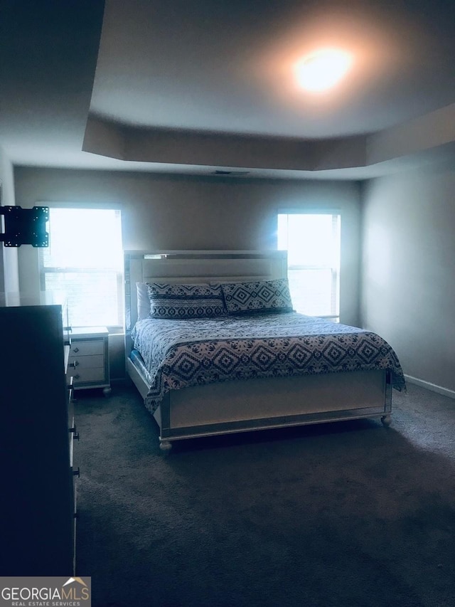 bedroom featuring dark carpet