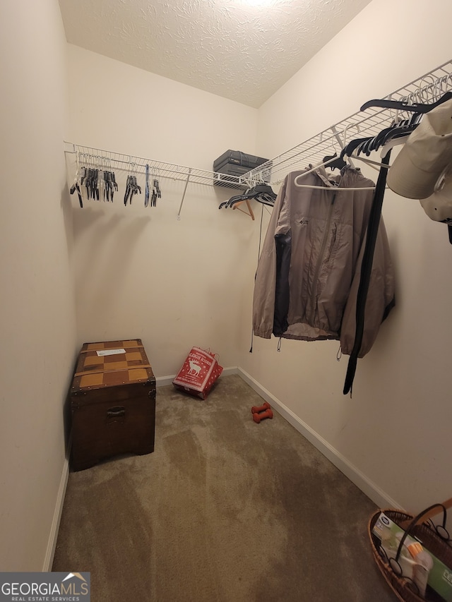 walk in closet with carpet floors