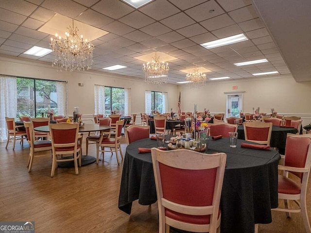 dining space with a paneled ceiling and hardwood / wood-style floors