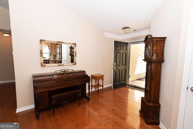 miscellaneous room featuring wood-type flooring and ornamental molding