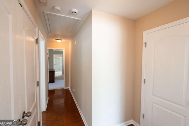 hallway with dark hardwood / wood-style flooring