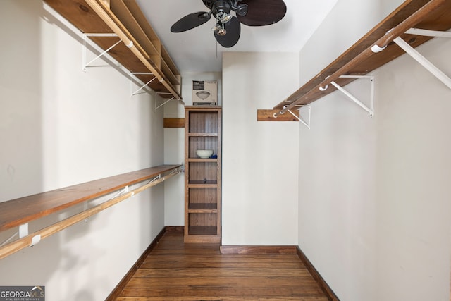 spacious closet featuring ceiling fan and dark wood-type flooring