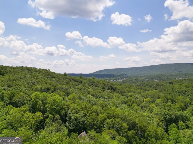 property view of mountains