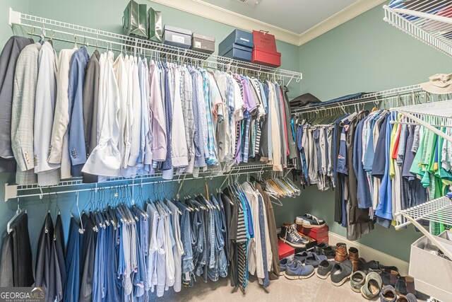 spacious closet featuring carpet floors