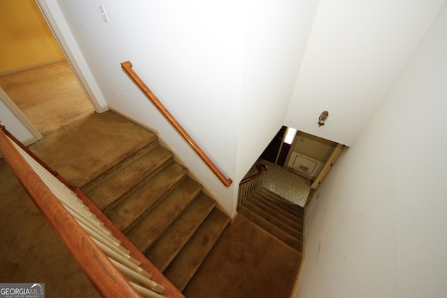 stairway with carpet floors