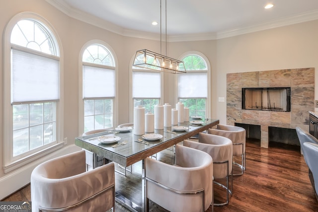 dining space featuring plenty of natural light, a tiled fireplace, and dark wood-type flooring