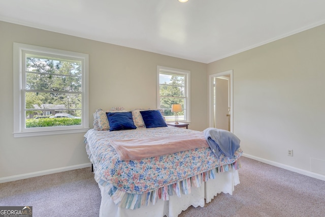 bedroom featuring multiple windows and light carpet