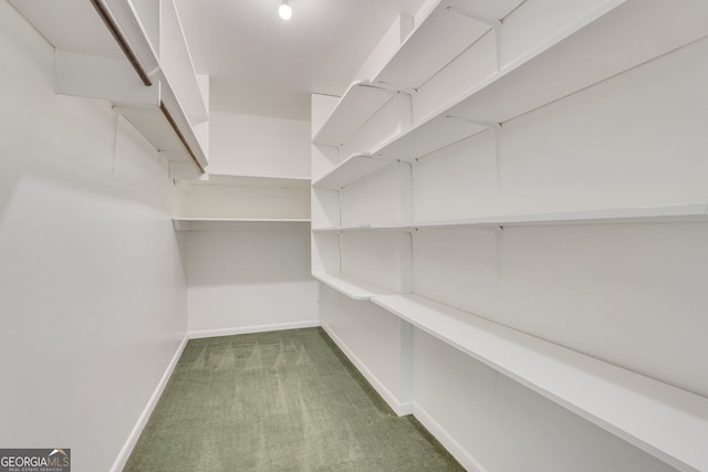 spacious closet featuring dark colored carpet