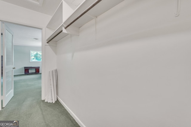 spacious closet with carpet floors