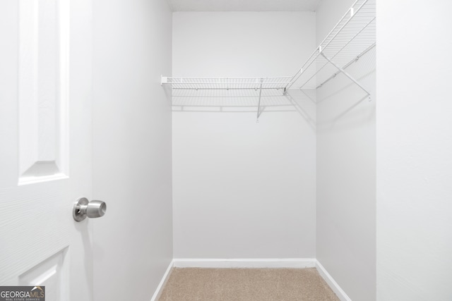 spacious closet with carpet flooring