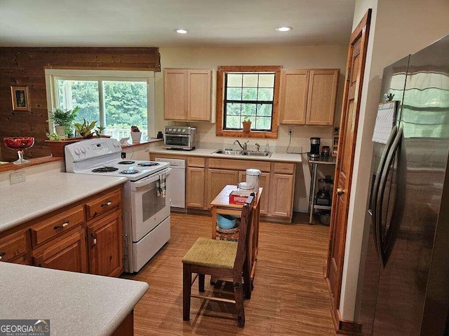 kitchen featuring a wealth of natural light, light hardwood / wood-style flooring, sink, and white appliances