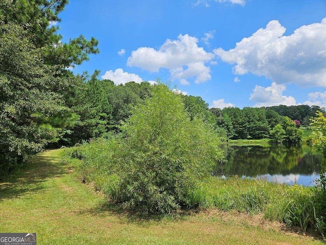 view of local wilderness featuring a water view