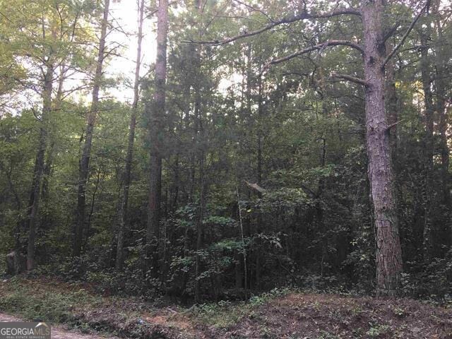 TB1 Roberts Quarters Rd, Molena GA, 30258 land for sale