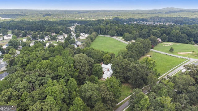 bird's eye view