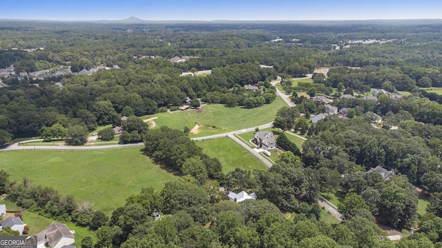 bird's eye view