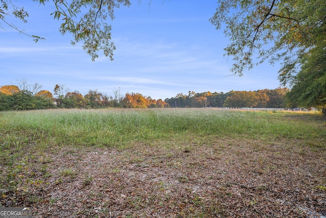 view of yard with a rural view