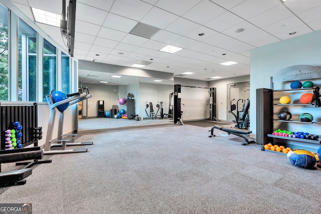 gym featuring a drop ceiling and carpet flooring