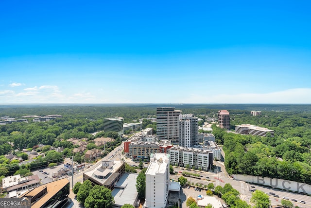 bird's eye view