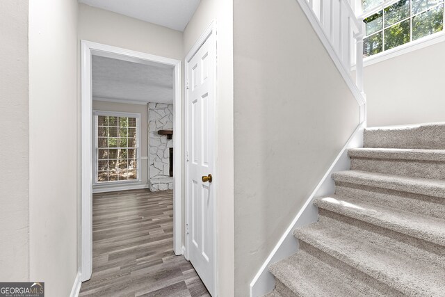 stairs featuring a textured ceiling and hardwood / wood-style floors