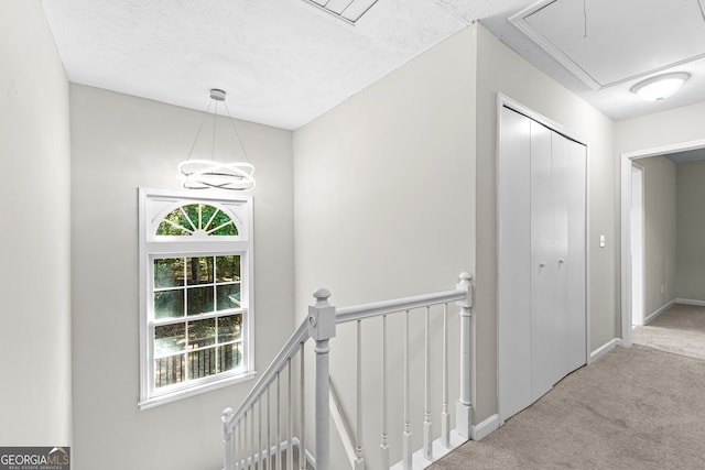 hallway featuring carpet floors and a textured ceiling