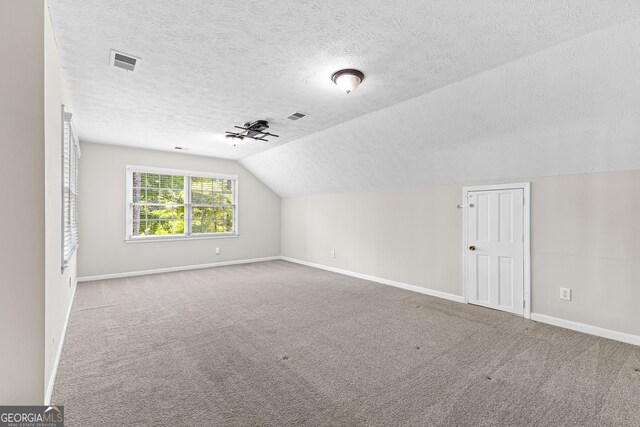 additional living space with carpet flooring, a textured ceiling, and lofted ceiling