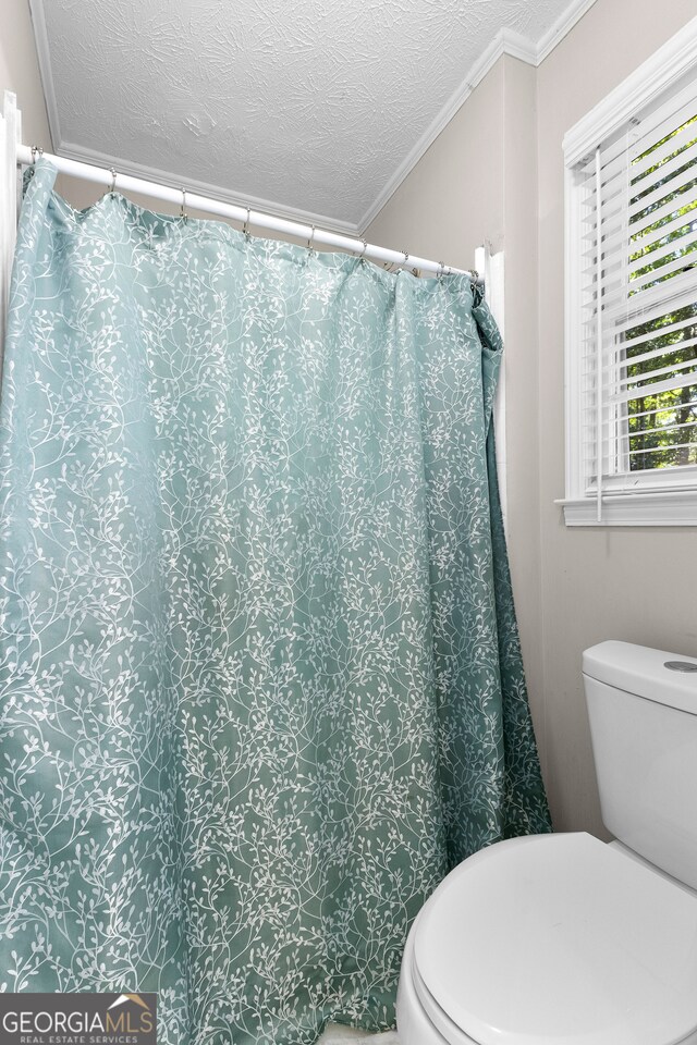 bathroom with crown molding, toilet, and a textured ceiling